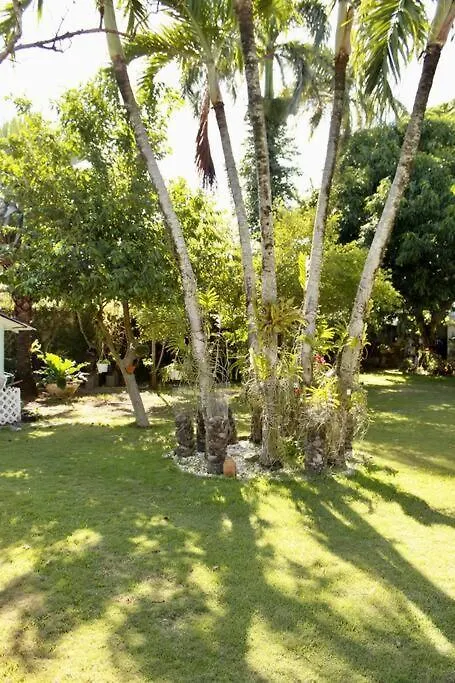 Holiday home Relax House Villa Concepcion de La Vega